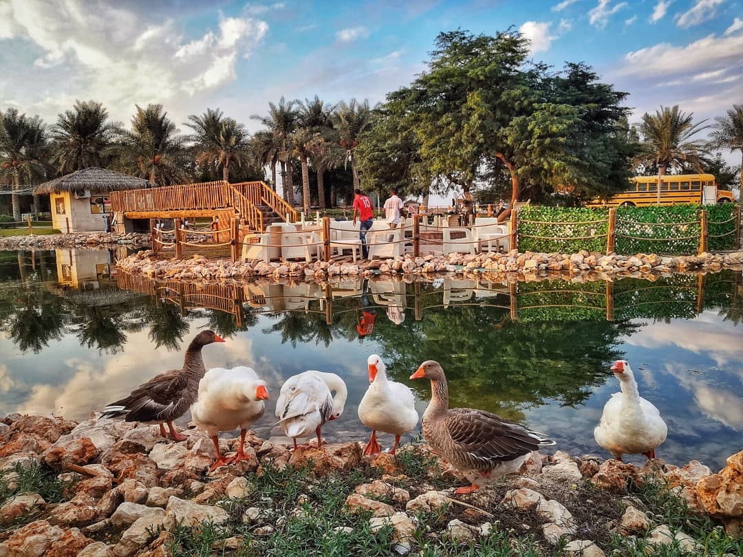 Al-Ahsa Oasis Trip – 2 days