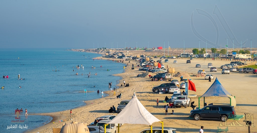 Enjoy snorkeling in Al-Ahsa – for 3 days