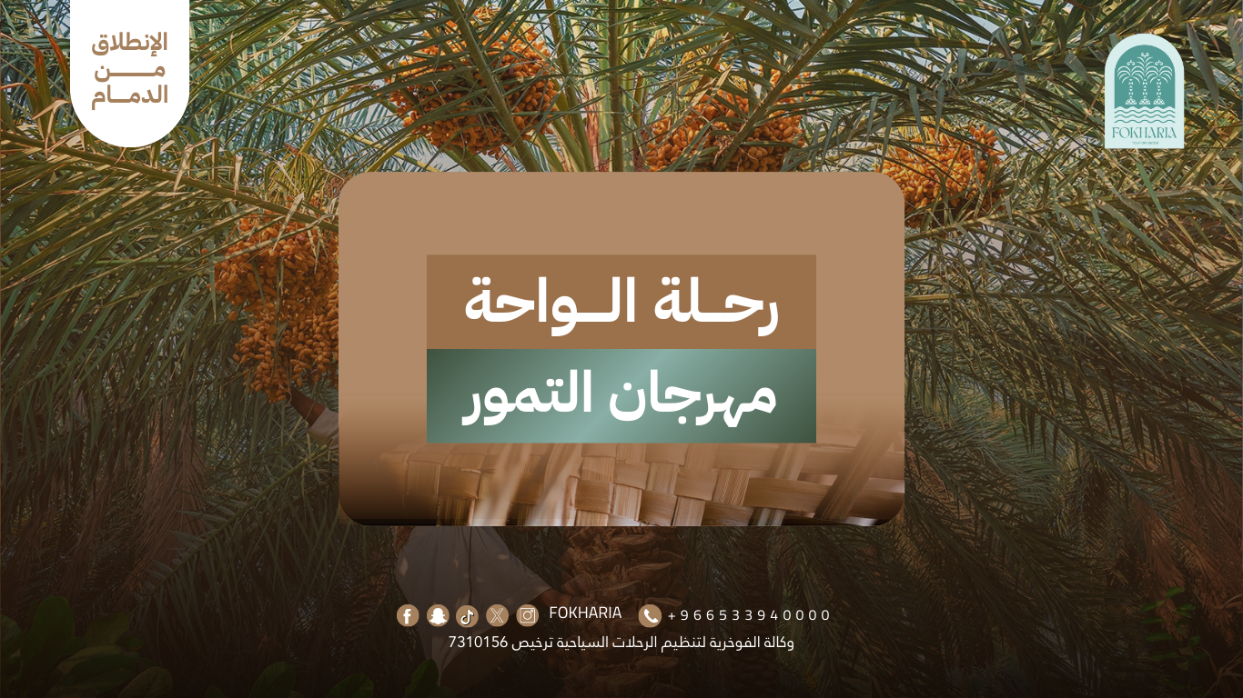 جولة في واحة النخيل | مهرجان التمور المصنعة