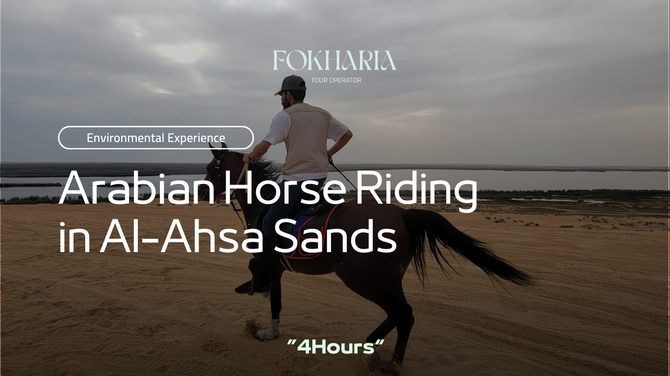 Arabian Horse Riding in Al-Ahsa Sands