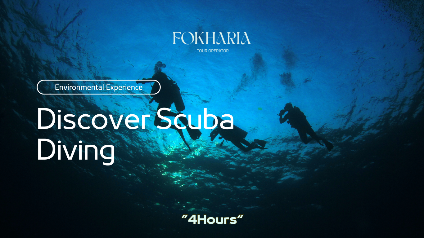 Discover Scuba Diving