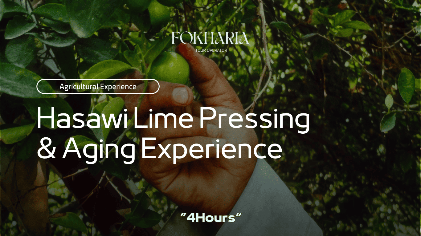 Stargazing Trip in Eastern Province