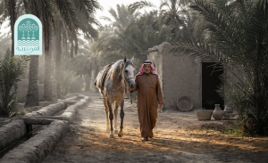 دار سعد للفروسية الاحساء