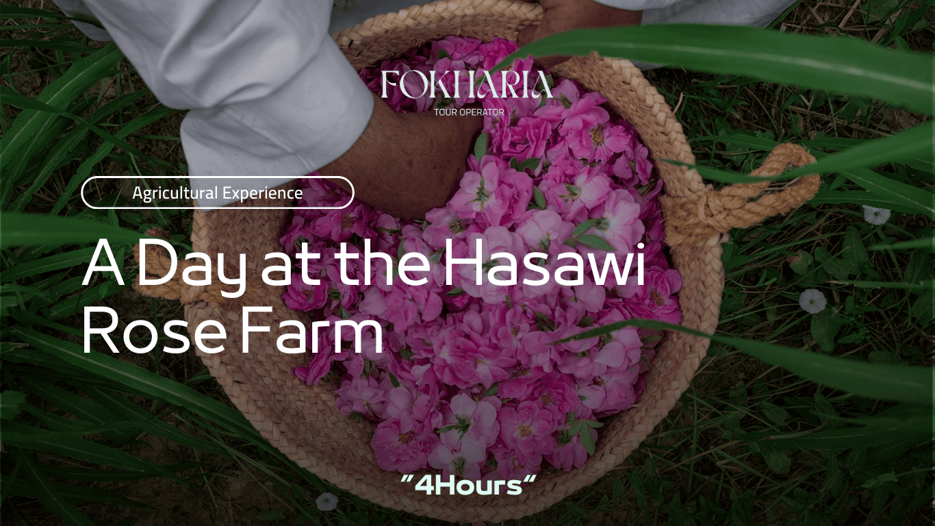 A Day at the Hasawi Rose Farm