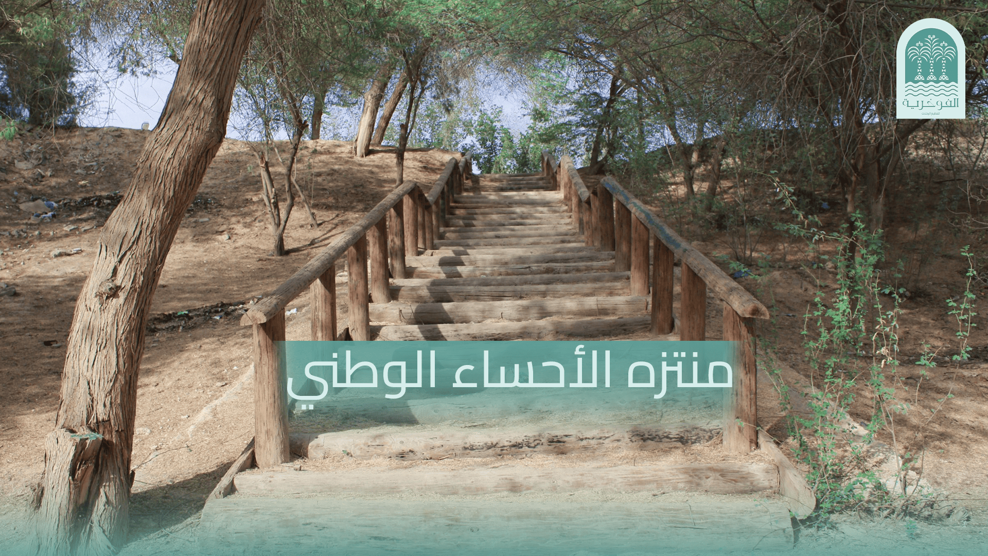 منتزه الأحساء الوطني – تجربة طبيعية مميزة في قلب المملكة؟