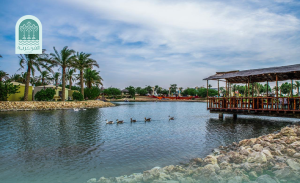 مدينة جواثا