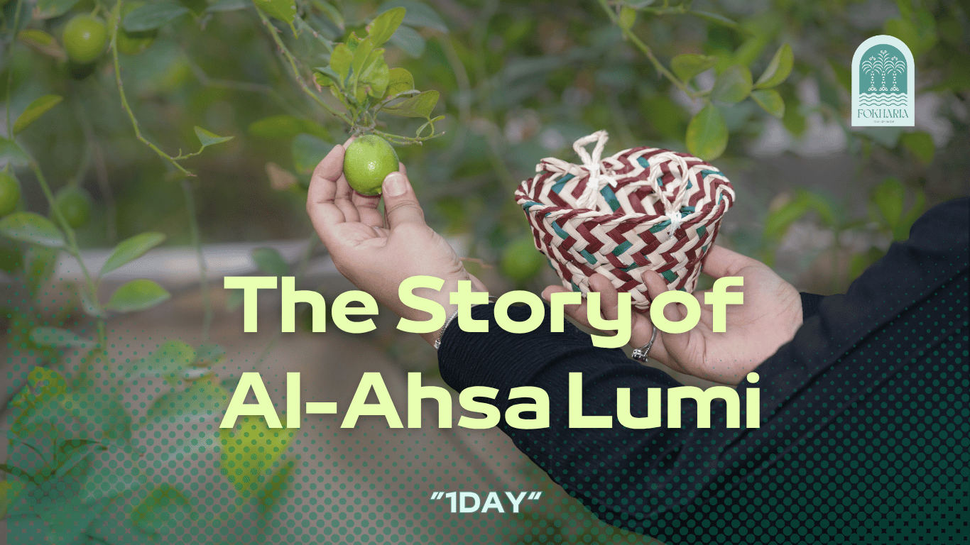 A Tour of the Palm Oasis | Al-Lumi Al-Hassawi Expo